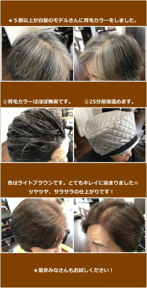 髪を美しく Peace Of Mind 安心できるヘアサロンをめざして 下野市の美容ヘアサロンなら Elvis エルヴィス 髪を美しく Peace Of Mind 安心できるヘアサロンをめざして 下野市の美容ヘアサロンなら Elvis エルヴィス